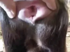 Zoo Sex Run