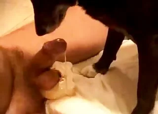 Filthy animal sex: dirty creature sucks cock with mouth