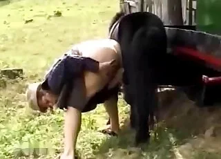 Dark horse sex: wet cunt screwing with pony