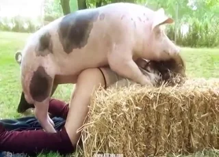 Brunette Slut Fucks Pig Outside in Thong - Zoosex