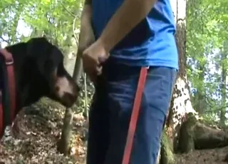 Hard-dicked dog fucker getting nasty on walk home