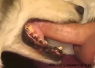 Malamute Muzzlefuck: Sliding Dick in Twisted Zoo XXX