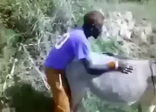 Horny dude gets busy with a donkey in this short zoo clip
