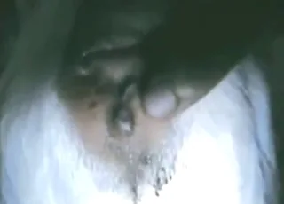 Goat sex scene with final cumshot on the barn floor
