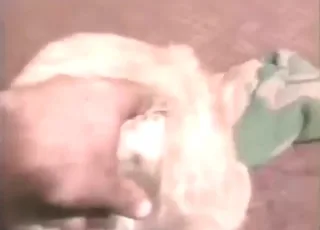 Amateur guy plays with sexy cat in zoo sex scene