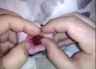 Guy stretches dog opening hard in intense hardcore scene