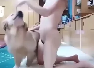 Leggy masked zoophile rides a thick dick in this zoo scene