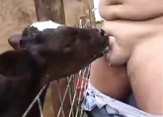 Fat guy gets calf blowjob with kinky tongue