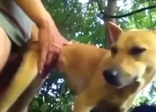 Dude screws brown beast from behind in short clip