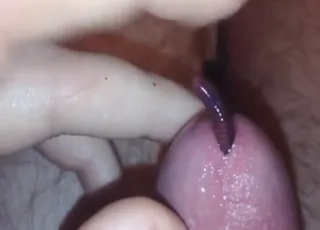 Worms replace animal sex for him, forever