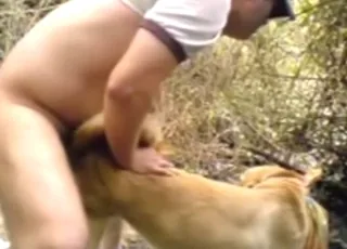 Slacker gets fast dog sex from behind in short clip