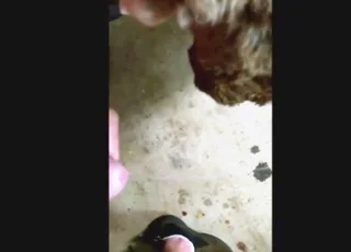 Power fucking a rabbit in this taboo zoo sex video