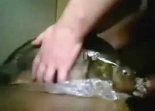 Fish fingering and teasing action in short clip