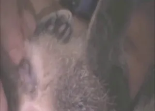 Guy fingers cat pussy till orgasm in short clip