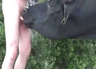 Slutty cow gets deep throating and dick worship