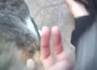 Fingering wet cat pussy for a juicy climax