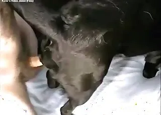 Black animal getting screwed in the ass - zoo sex scene