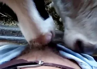 Cute small cow sucking hard dick in hardcore zoo sex scene