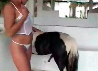 Extremely passionate pony sex in this zoo clip