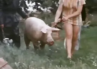 Pig in awesome zoophilic sex session with animal sex, zoosex, zoo porn
