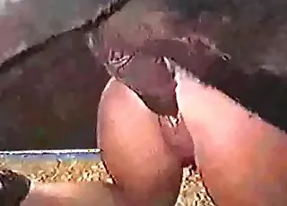 Crazy Pony Sex: Wild Zoo animal sex Scene with Animal