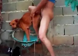 Small puppy freaks out in this zoophile porno movie